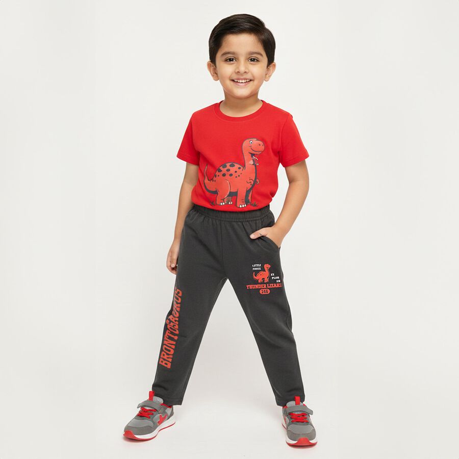 Boys' Charcoal Grey Dinosaur Printed Cotton Blend Pyjama, चारकोल, large image number null