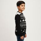 Boys Jet Black Round Neck Graphic Pullover, काला, small image number null