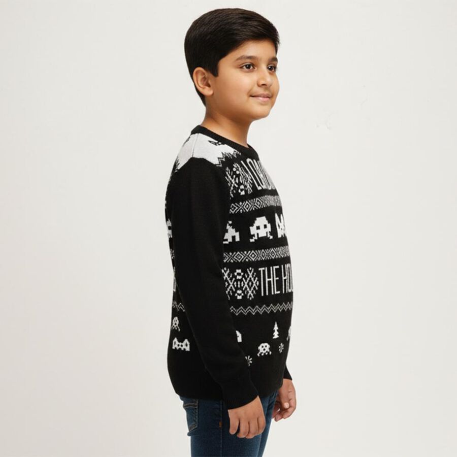 Boys Jet Black Round Neck Graphic Pullover, काला, large image number null