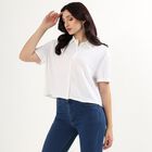 Women's Bright White Half Sleeve Classic Collar Casual Shirt, White, small