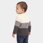 Infants Grey Crew Neck Knitted Design Pullover, चारकोल, small