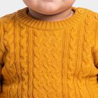 Infants Yellow Crew Neck Pullover, पीला, small