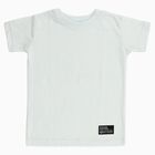 Boys Light Green Round Neck Casual Half Sleeve T-Shirt, हल्का हरा, small