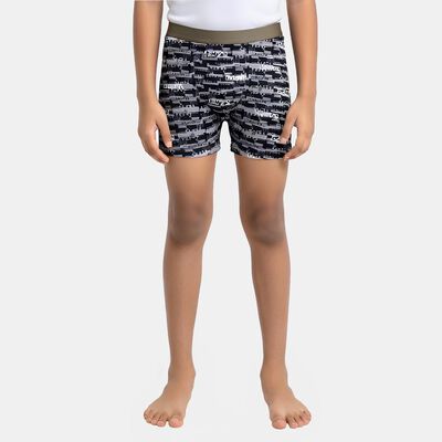 Boys' Grey Regular Fit Printed Briefs