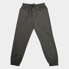 Boys' Dark Grey Regular Fit Solid Jogger Trousers, गहरा ग्रे, small