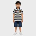 Boys Olive and Navy Polo Neck Casual T-Shirt, ओलिव, small