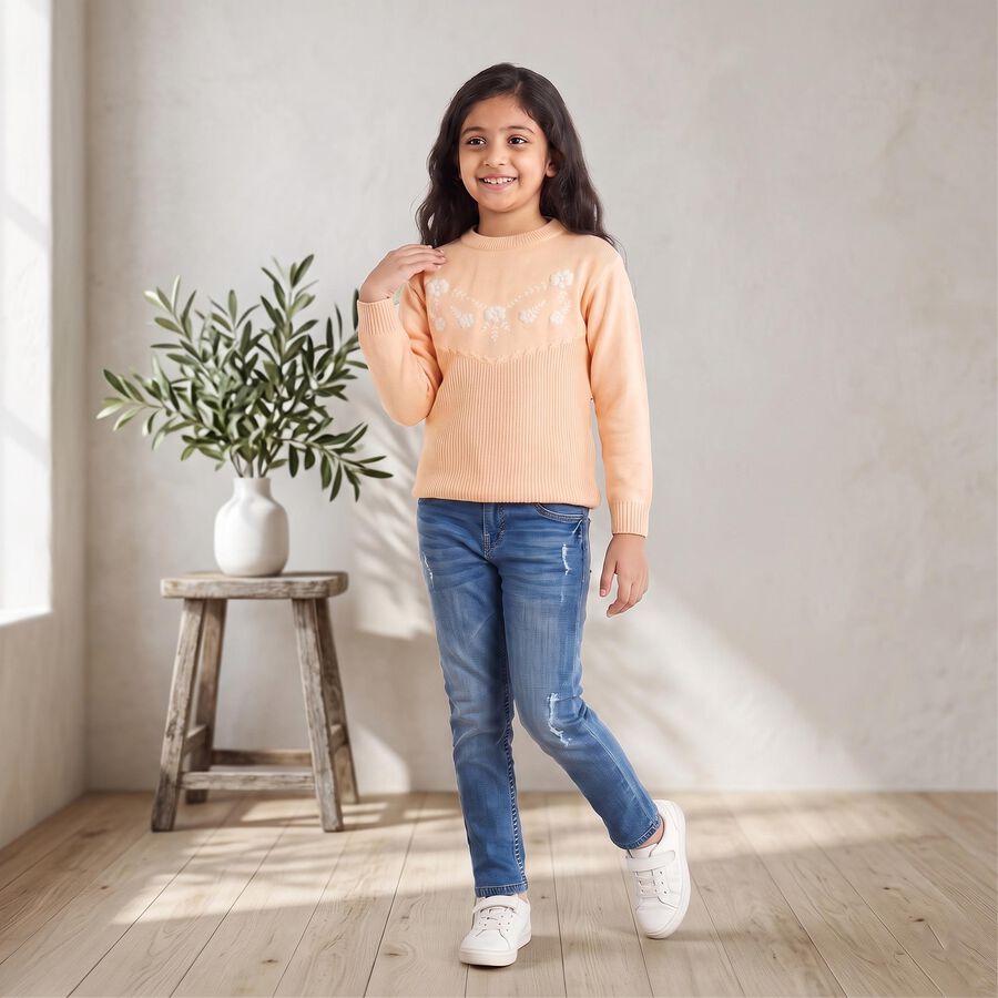 Girls' Light Pink Crew Neck Embroidered Pullover, Light Pink, large