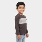 Boys Charcoal Cotton Round Neck Regular T-Shirt, चारकोल, small