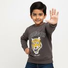 Boys' Sweatshirt, गहरा ग्रे, small image number null