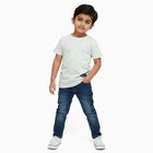 Boys Light Green Round Neck Casual Half Sleeve T-Shirt, हल्का हरा, small