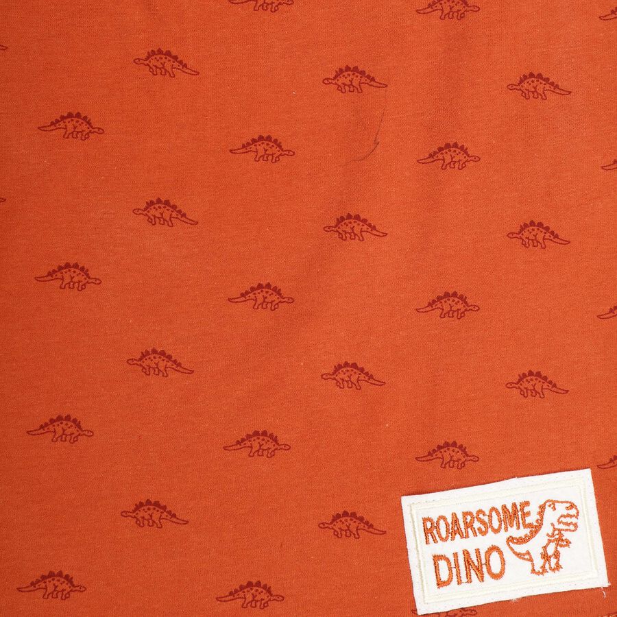 Boys' 100% Cotton Half Sleeves T-Shirt, Rust, large