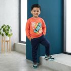 Boys' Peach Crew Neck Pullover Sweatshirt, पीच, small