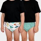 Boys' Mint Green Regular Fit Solid Briefs, Light Green, small