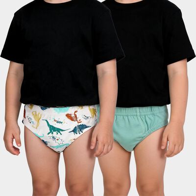 Boys' Mint Green Regular Fit Solid Briefs