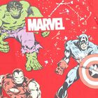 Boys' 100% Cotton Half Sleeves T-Shirt, Red, small