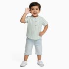 Infants Light Sage Green Cotton Half Sleeve Mandarin Collar Casual Shirt, Light Green, small image number null