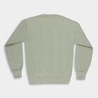 Boys Light Sage Green Crew Neck Graphic Print Sweatshirt, हल्का हरा, small image number null