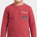 Boys Pink Crew Neck Regular T-Shirt, Pink, small