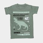 Boys' Muted Sage Green Cotton Crew Neck Casual T-Shirt, हल्का हरा, small