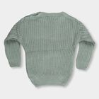Infants Muted Sage Green Crew Neck Casual Pullover, गहरा हरा, small image number null