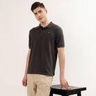Men's Dark Grey Cotton Polo Neck Classic T-Shirt, Dark Grey, small