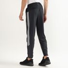 Unisex Charcoal Black Regular Fit Active Track Pants, Dark Grey, small image number null