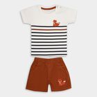 Infant Boys' 100% Cotton Baba Suit , Brown, small