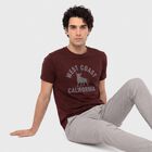 Men's Wine Round Neck Regular Printed T-Shirt, Wine, small