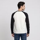 Men's White Crew Neck Raglan T-Shirt, White, small