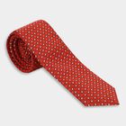 Men's Tie, मरून, small
