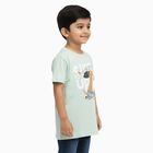 Boys Light Mint Green Cotton Round Neck Casual T-Shirt, Light Green, small