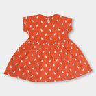 Infant Girls' 100% Cotton Frock , मूँगा (कोरल), small image number null