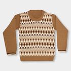 Boys Warm Caramel Brown Crew Neck Casual Pullover, भूरा, small image number null