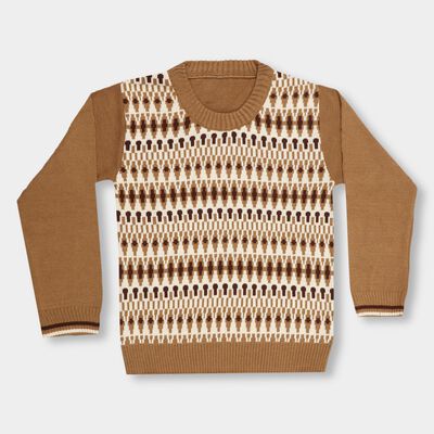 Boys Warm Caramel Brown Crew Neck Casual Pullover