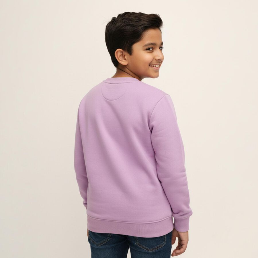 Boys Light Purple Crew Neck Graphic Sweatshirt, लाइलेक, large image number null