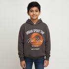 Boys Light Grey Crew Neck Casual Sweatshirt, हल्का ग्रे, small image number null