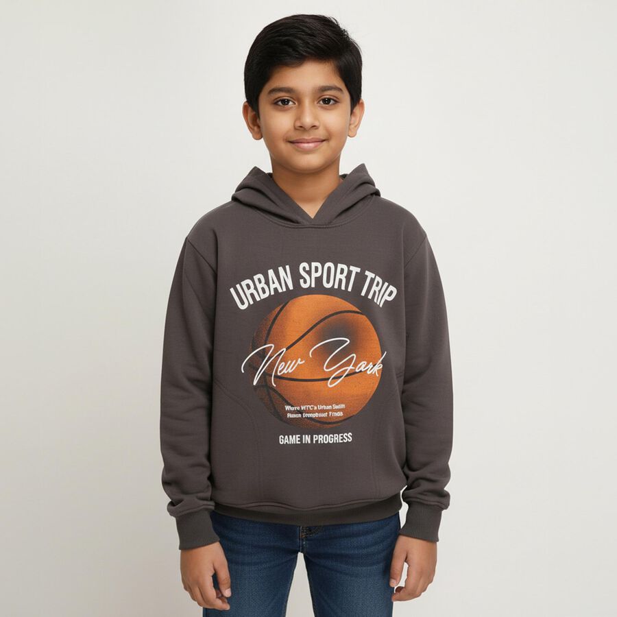 Boys Light Grey Crew Neck Casual Sweatshirt, हल्का ग्रे, large image number null