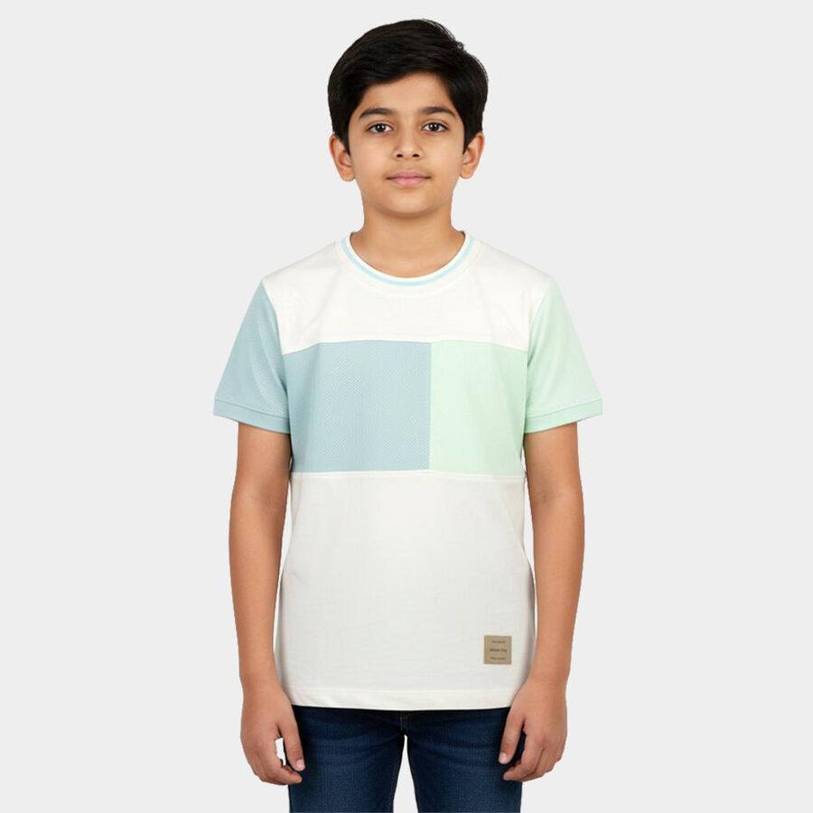 Boys' Light Green Round Neck Casual T-Shirt, Light Green, large