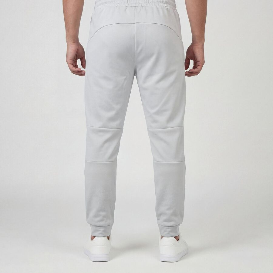Men's Grey Regular Fit Track Pants, हल्का ग्रे, large