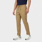Men's Beige Straight Fit Solid Track Pants, Beige, small
