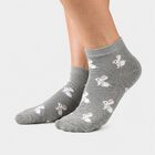 Women's Assorted Regular Fit Printed Pack of 3 Socks, चुनिंदा, small