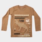 Boys Brown Crew Neck Regular Boys T-Shirt, Brown, small
