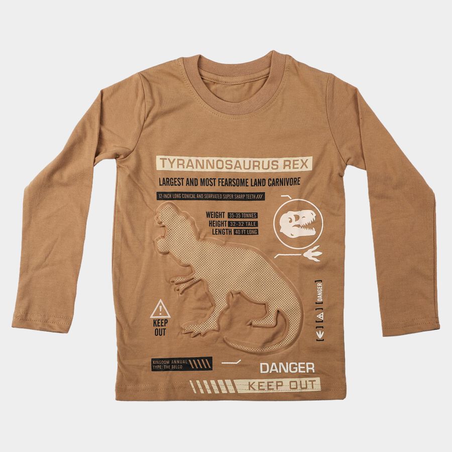 Boys Brown Crew Neck Regular Boys T-Shirt, Brown, large