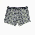 Boys' Muted Grey Regular Fit Printed Briefs, मिश्रित मध्यम ग्रे, small image number null