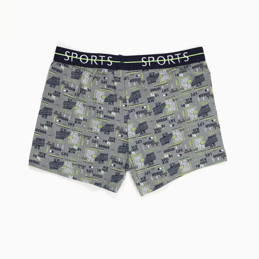 Boys' Muted Grey Regular Fit Printed Briefs, मिश्रित मध्यम ग्रे, large image number null