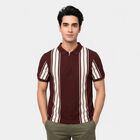 Men's Wine Polo Neck Striped Polo T-Shirt, वाइन, small