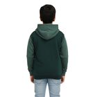 Boys Dark Green and Green Hoodie Neck Casual Sweatshirt, गहरा हरा, small image number null