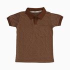 Boys Muted Brown Round Neck Casual Half Sleeve T-Shirt, भूरा, small