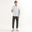Men's Light Sage Green Cotton Classic Casual Shirt, हल्का हरा, small