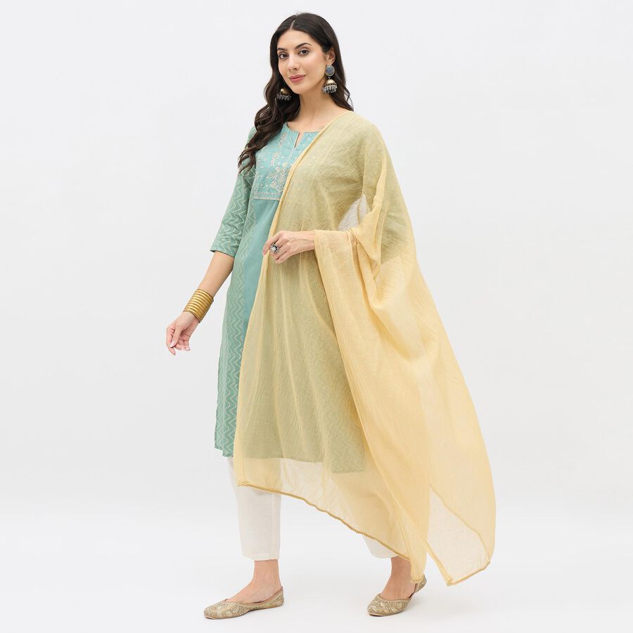 Ladies' Regular Dupatta, Khaki, large image number null